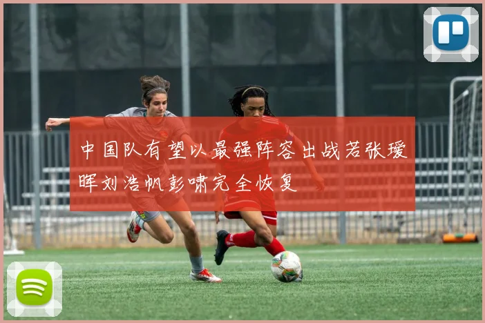 中国队有望以最强阵容出战若张瑷晖刘浩帆彭啸完全恢复